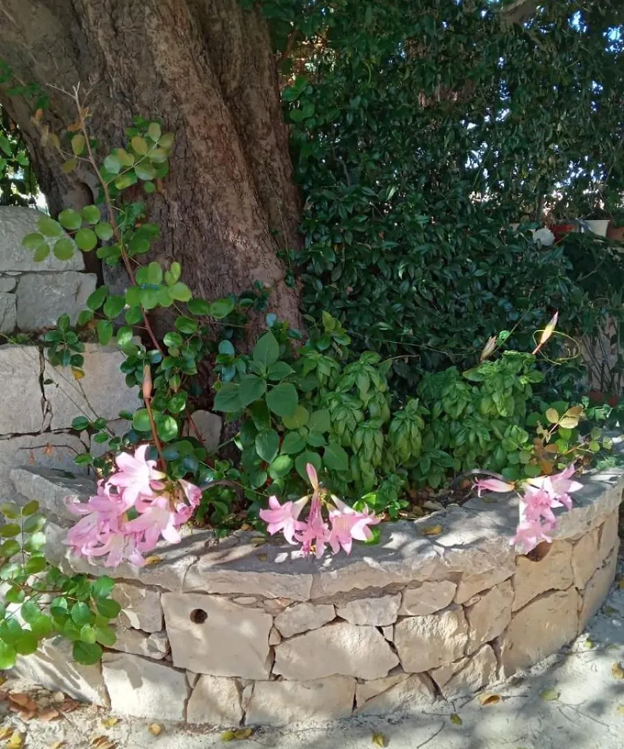 Richiami Di Sicilia Bed and Breakfast Μόντικα